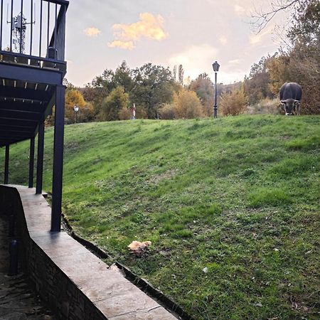 Villa R'Arco - Tucasaenlospirineos Escarrilla Εξωτερικό φωτογραφία